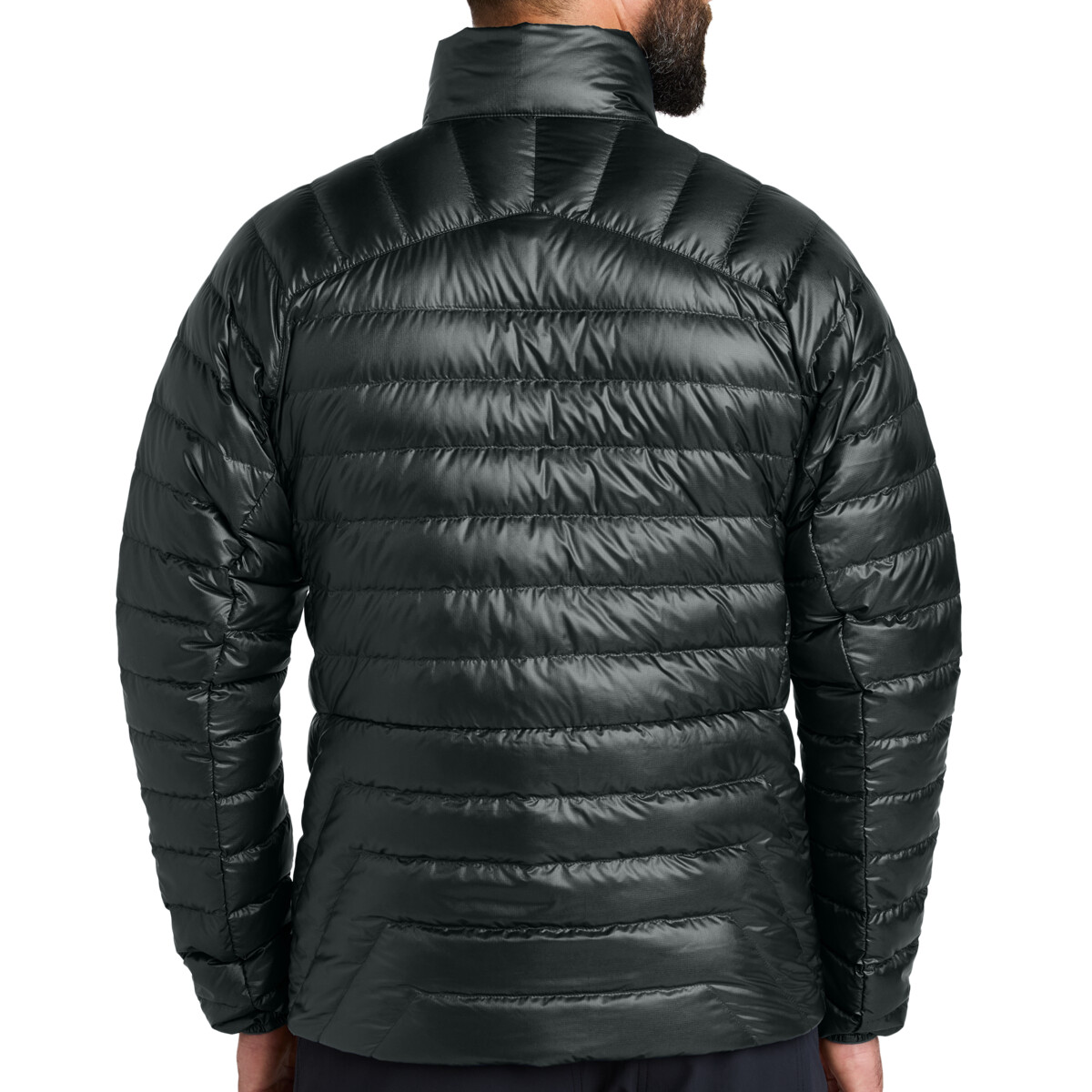 Back